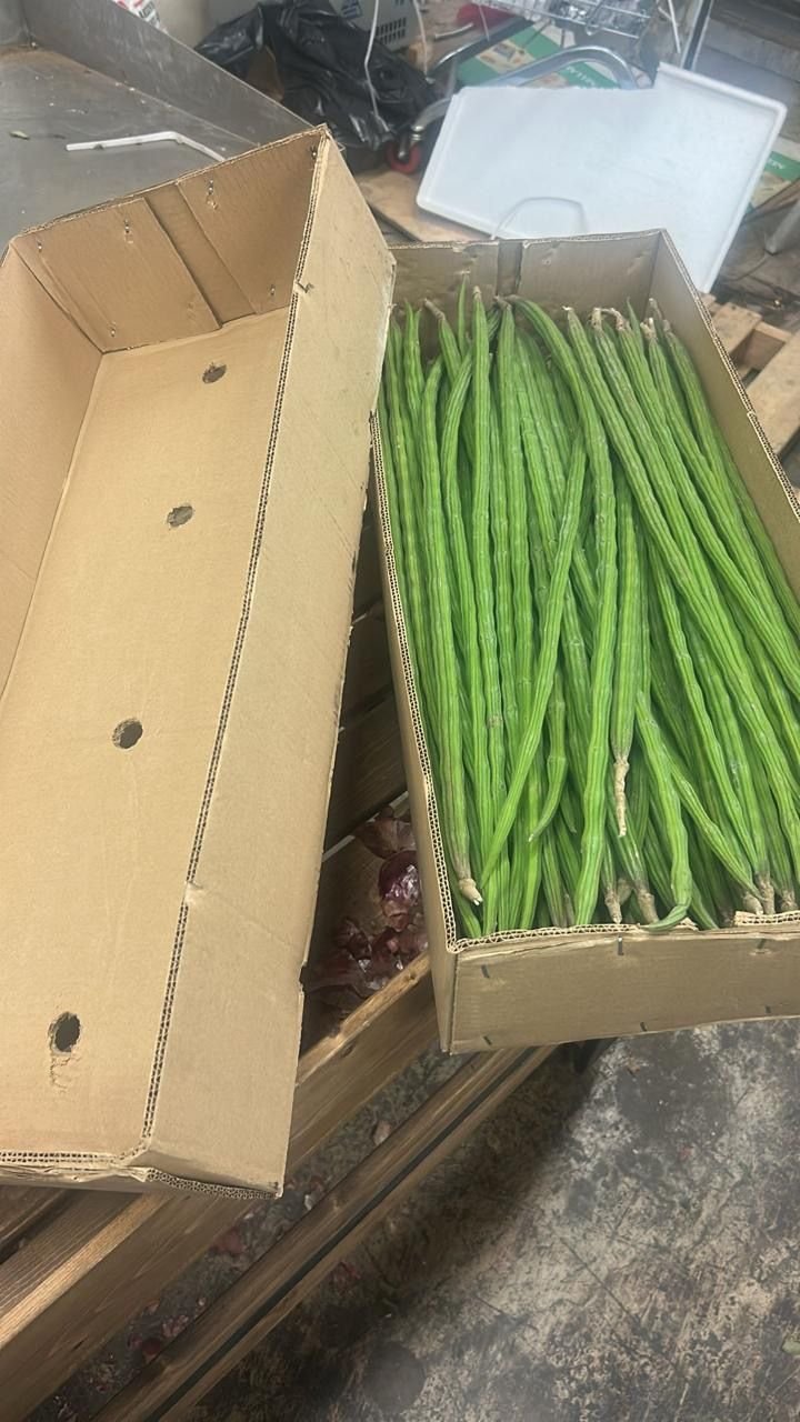 Vainas de moringa